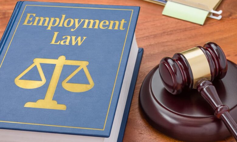 Employment Lawyer Guide: Protecting Rights at Work Today